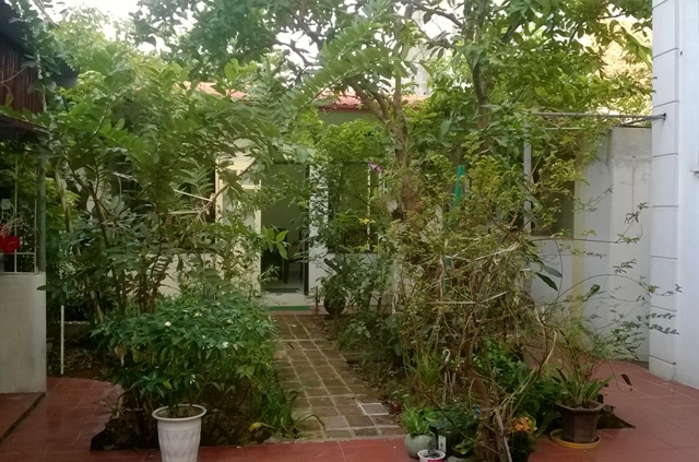 Bảo tàng Nguyễn Văn Huyên Kể chuyện về lịch sử qua câu chuyện gia đình